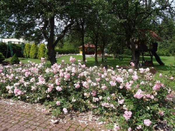Skalny Apartamenty, Pokoje Ogrodzieniec Buitenkant foto