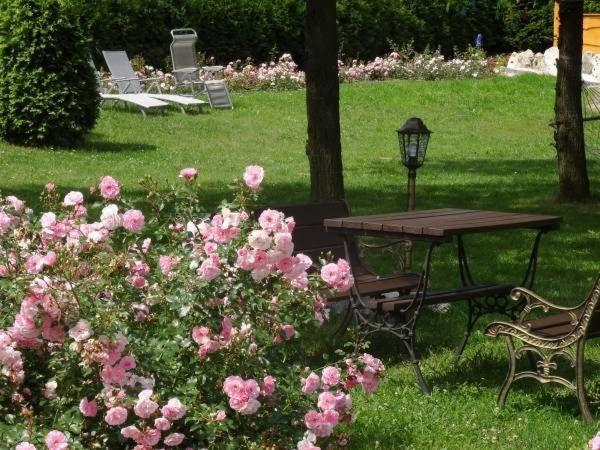 Skalny Apartamenty, Pokoje Ogrodzieniec Buitenkant foto