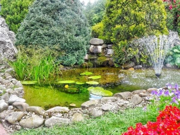 Skalny Apartamenty, Pokoje Ogrodzieniec Buitenkant foto