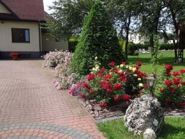 Skalny Apartamenty, Pokoje Ogrodzieniec Buitenkant foto